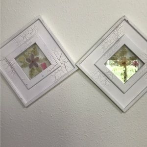 Set of 2 framed pressed flowers